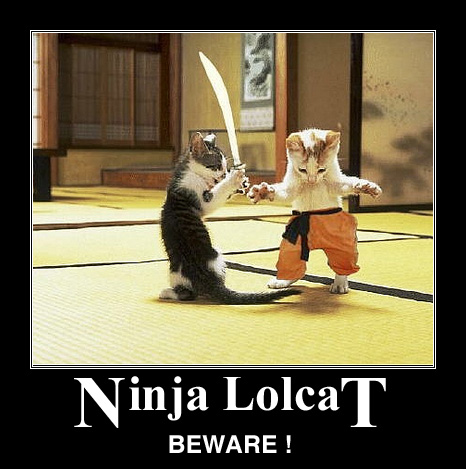 Ninja Lolcat