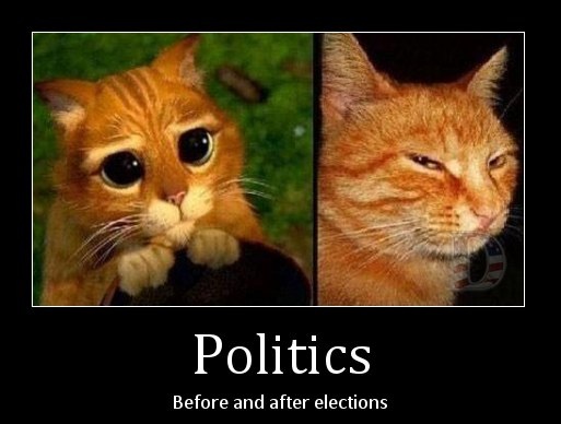 politics, before & after elections...