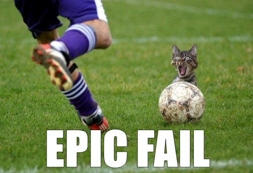 epic cat fail