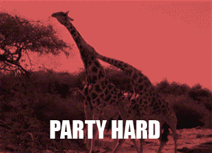 gifa party hard girafe