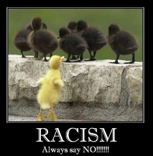 Racisme