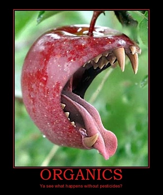 organic food without pesticides