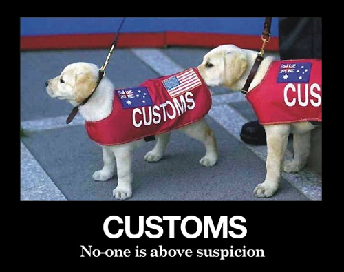 customs no one is above suspicion