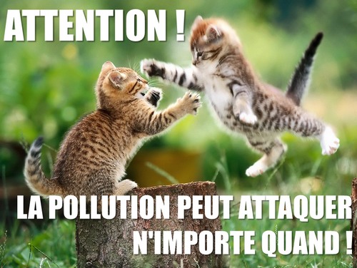 attention la pollution attaque