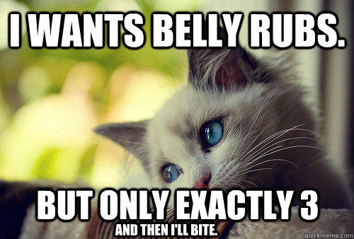belly rub cat
