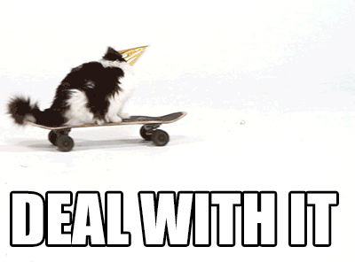 cat deal with it