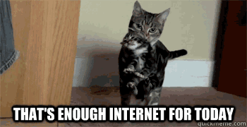 cat enough internet