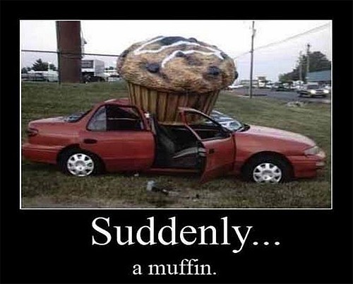 suddenly a muffin