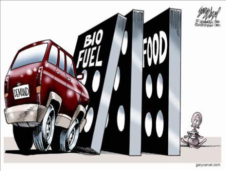 biofuel domino