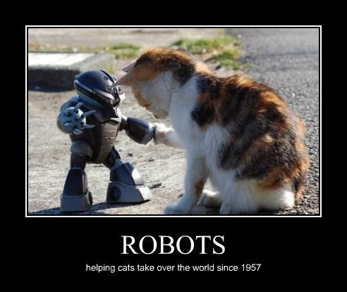 robots helping cats