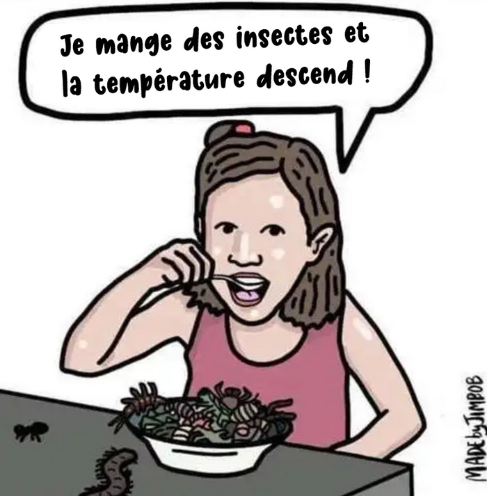 Comment une entreprise française veut nous habituer à manger des insectes